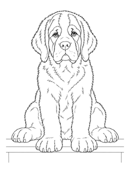 Free printable Saint Bernard Puppy Sitting On A Step coloring page