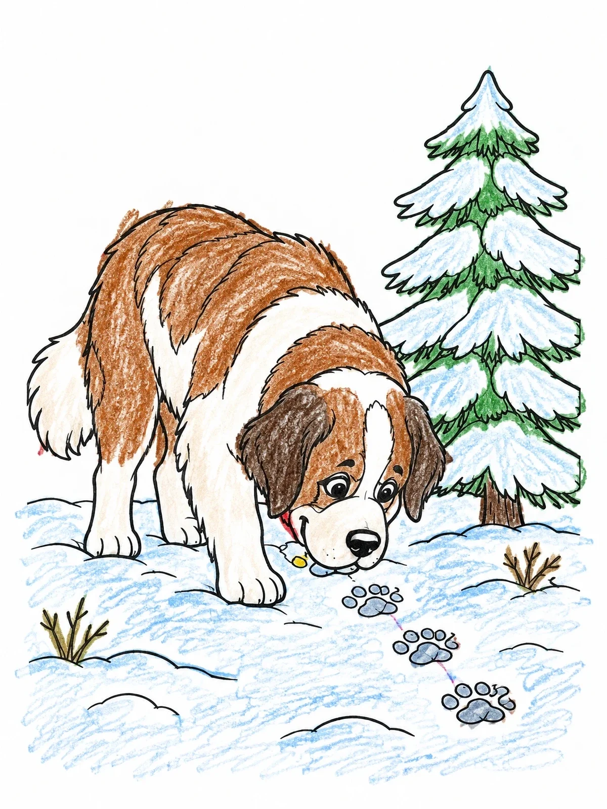 Colored example of the Saint Bernard Sniffing Snowy Tracks coloring page