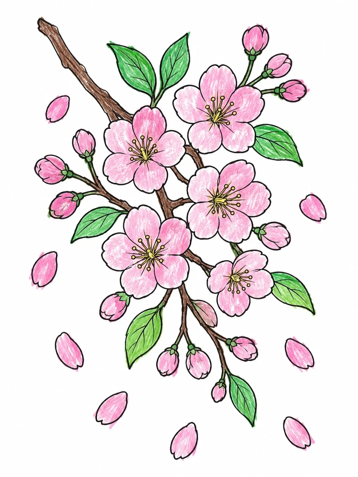 Colored example of the Blooming Cherry Blossom Branch With Petals coloring page