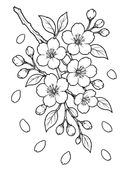 A detailed sakura coloring page featuring a blooming branch with flower buds and falling petals.