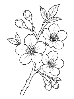 A detailed sakura coloring page featuring blooming cherry flowers, buds, and delicate leaves on a branch.
