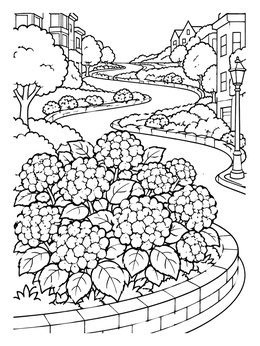 Free printable Lombard Street Hydrangeas In Bloom coloring page