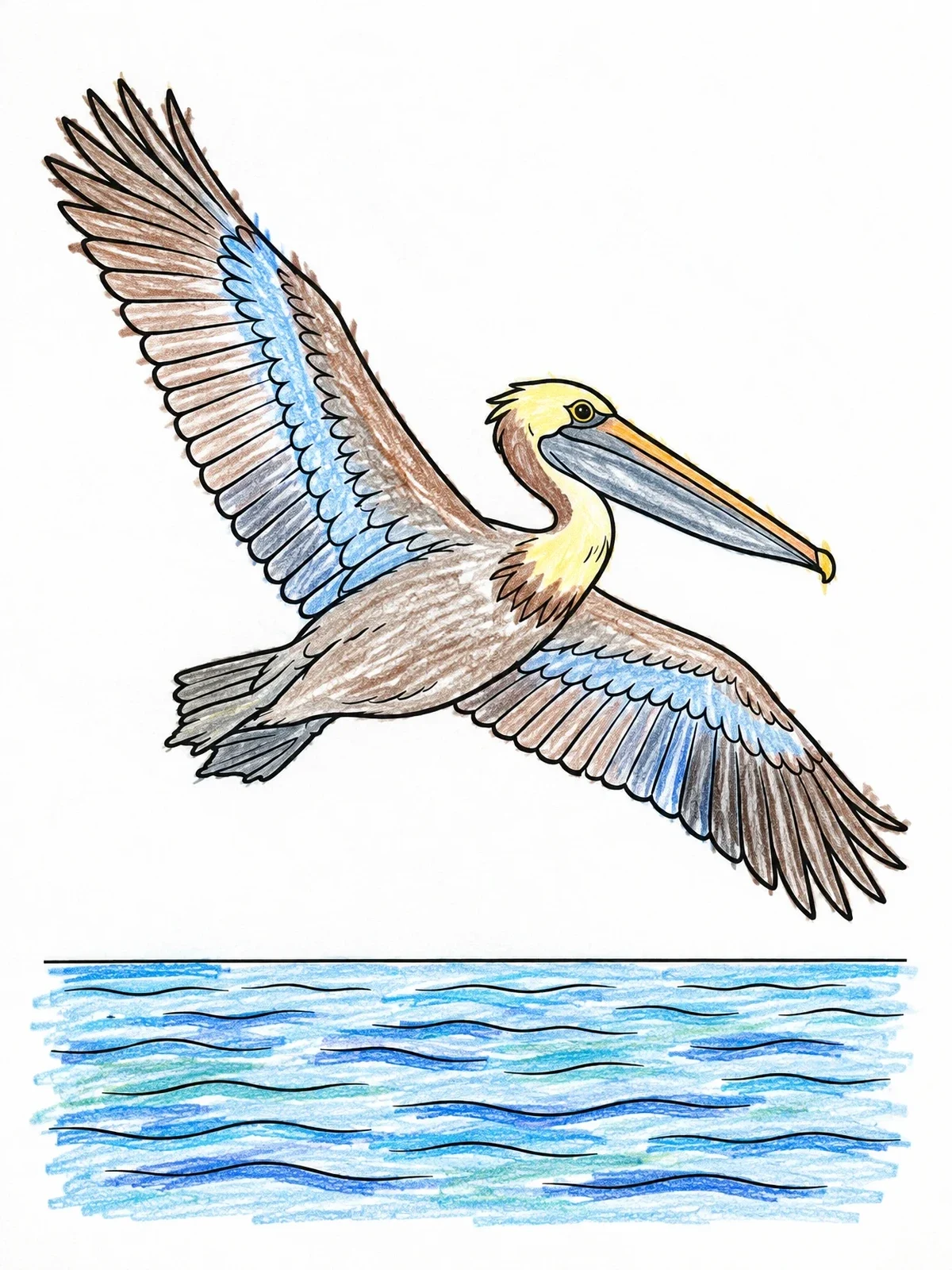 Colored example of the Pelican Gliding Over The Bay coloring page