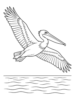 A pelican glides gracefully over water in this san francisco coloring page.