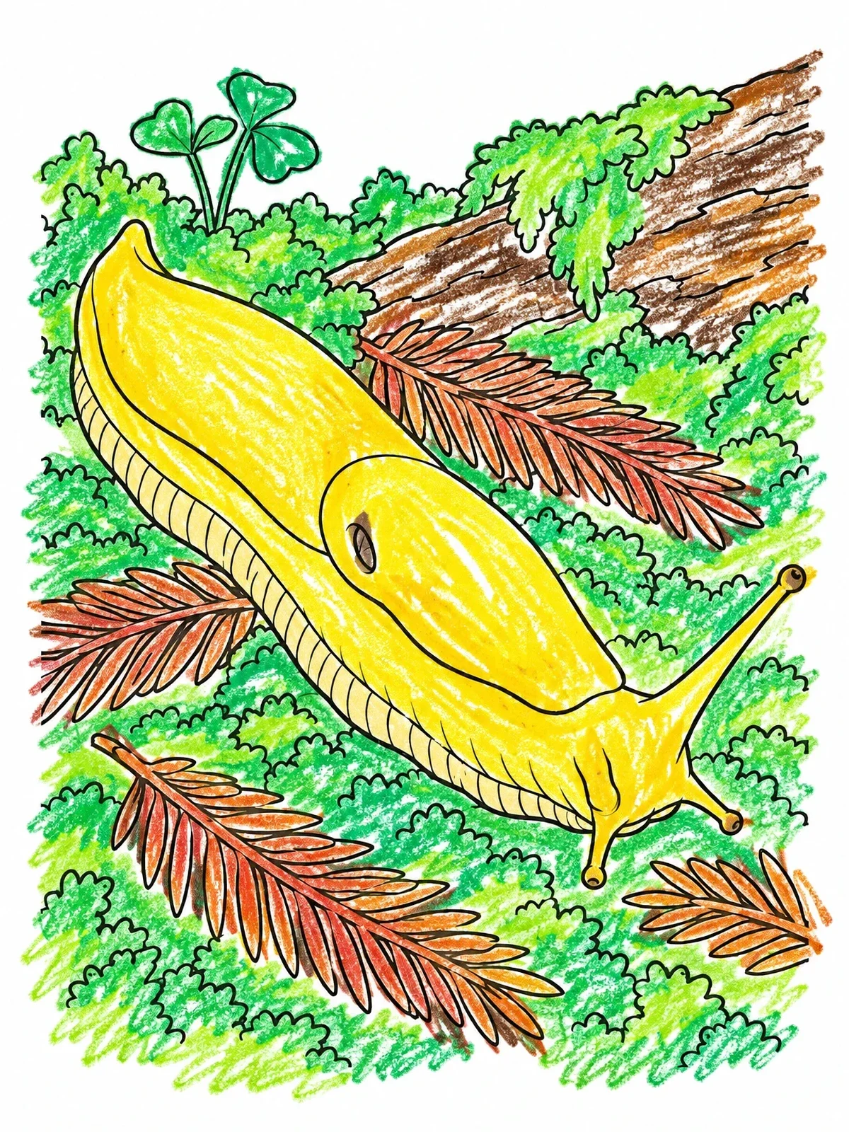 Colored example of the Banana Slug In Redwood Forest coloring page