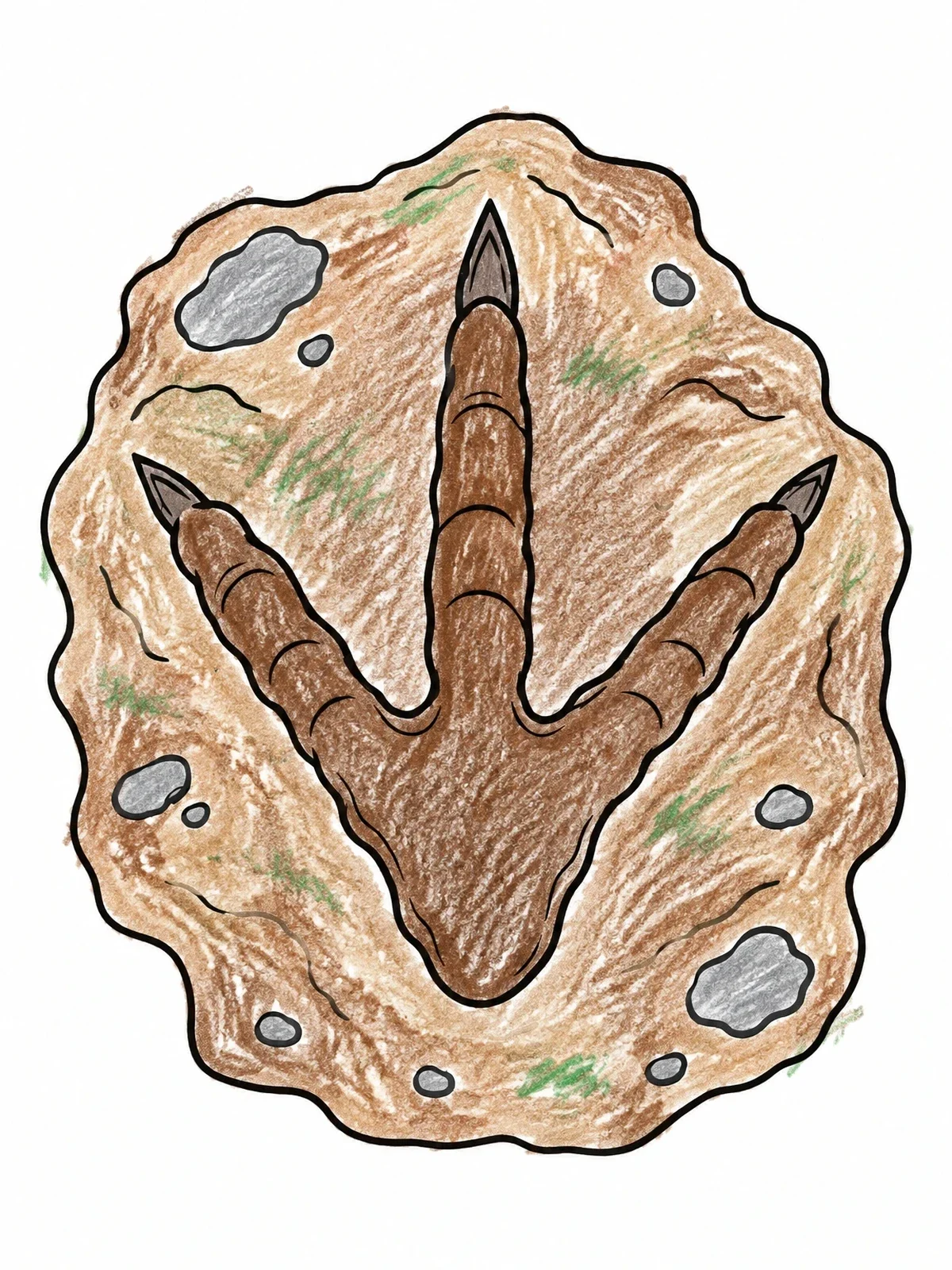 Colored example of the Bird Footprint Track In Mud coloring page