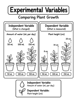 An educational science coloring page explaining independent and dependent variables through plant growth.