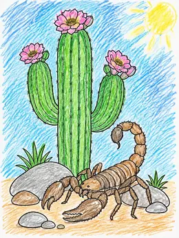 Cactus Draw Color Scorpion By Flowering Saguaro Cactus Coloring Page