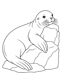 A peaceful sea lion coloring page resting its flipper and body on stacked rocks.