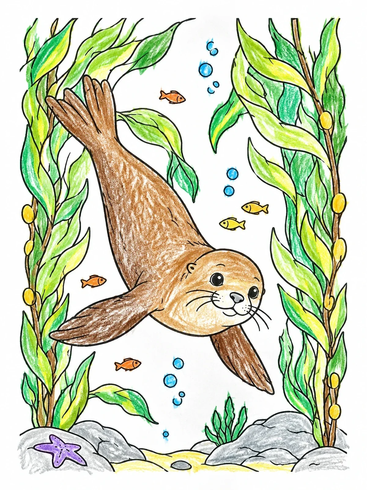 Colored example of the Sea Lion Swimming In Kelp Forest coloring page
