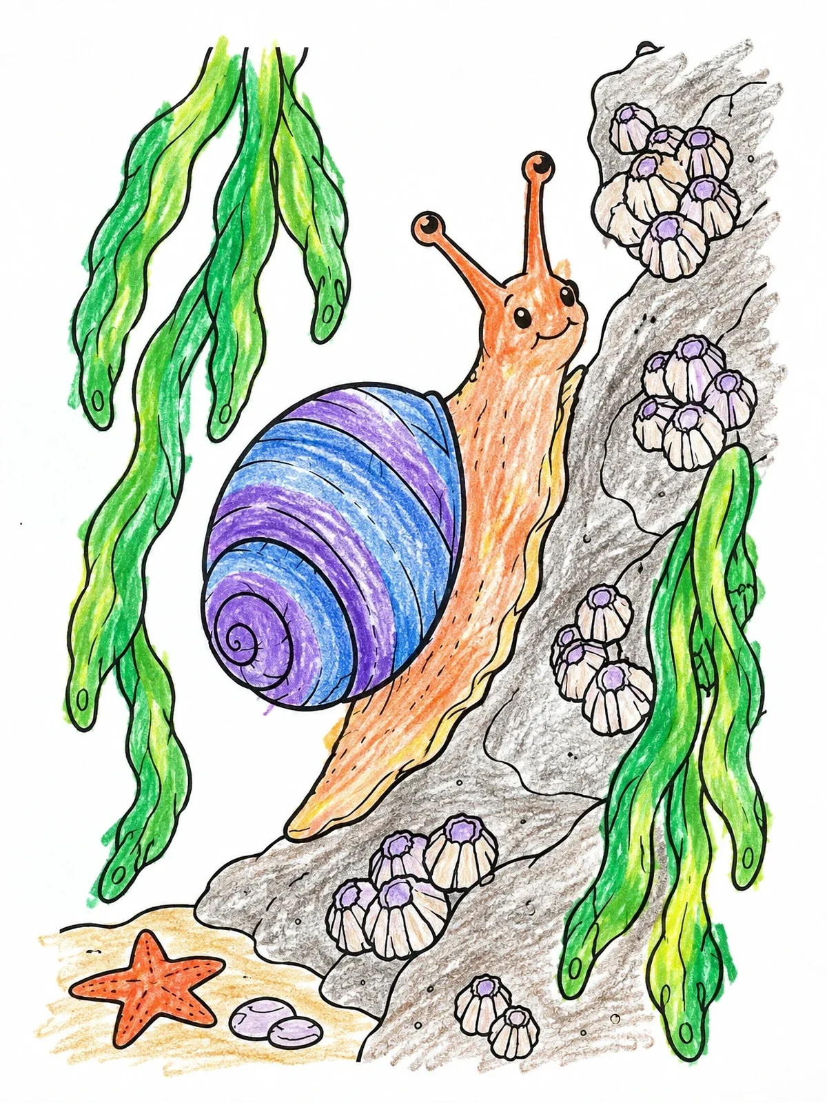 Colored example of the Sea Snail In A Tide Pool coloring page