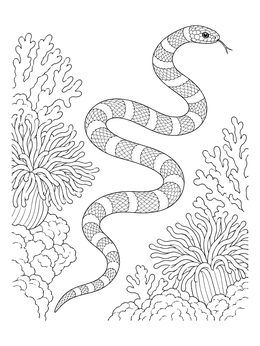 Detailed sea snake coloring page gliding between ocean corals and sea anemones.