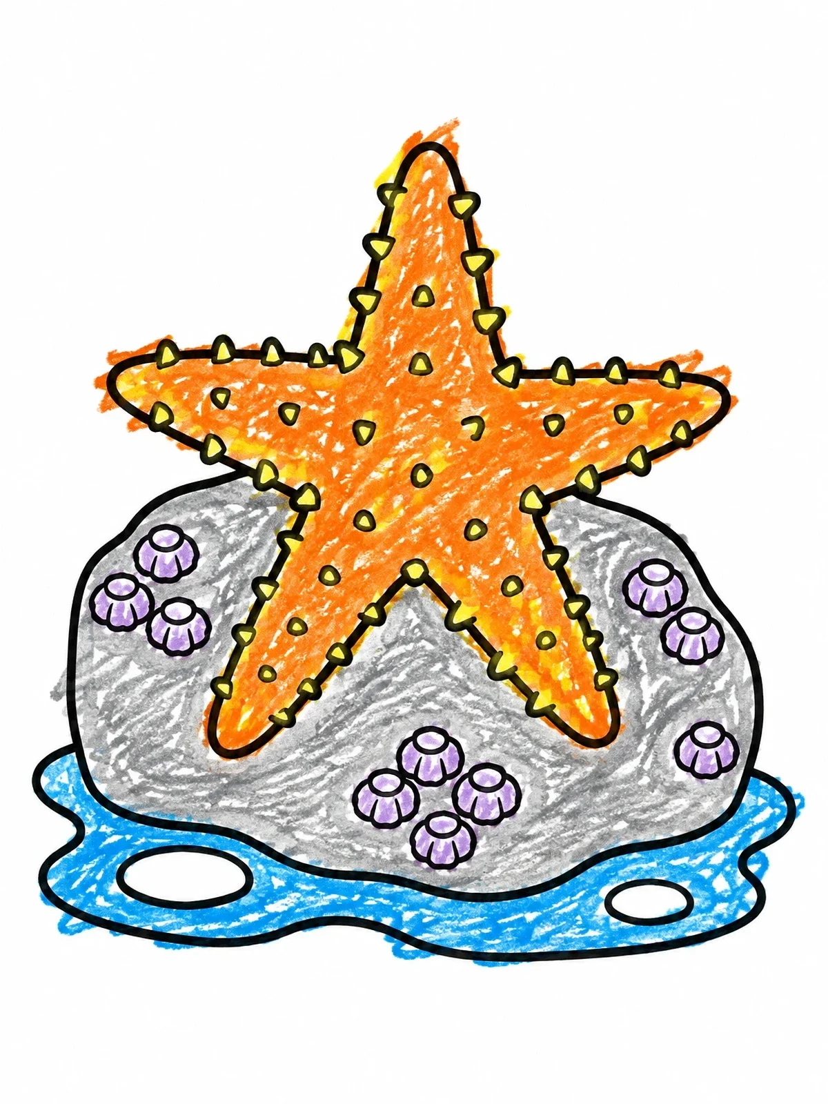 Colored example of the Sea Star On Barnacle Rock coloring page