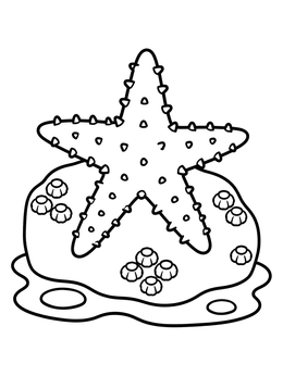 Free printable Sea Star On Barnacle Rock coloring page