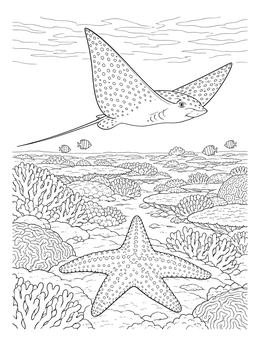 Free printable Sea Star And Spotted Eagle Ray coloring page