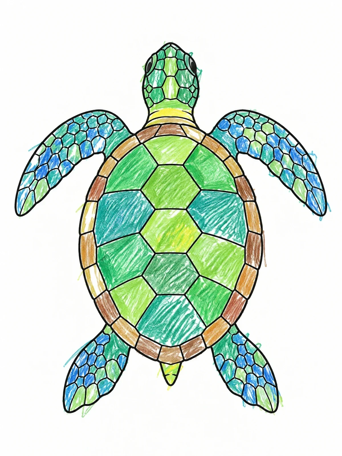 Colored example of the Sea Turtle Top View Outline coloring page