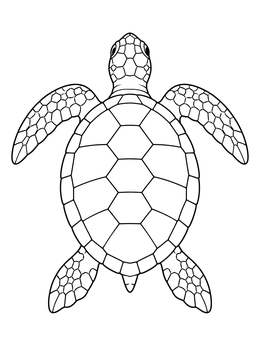Top view of a swimming sea turtle coloring page with clear shell patterns.