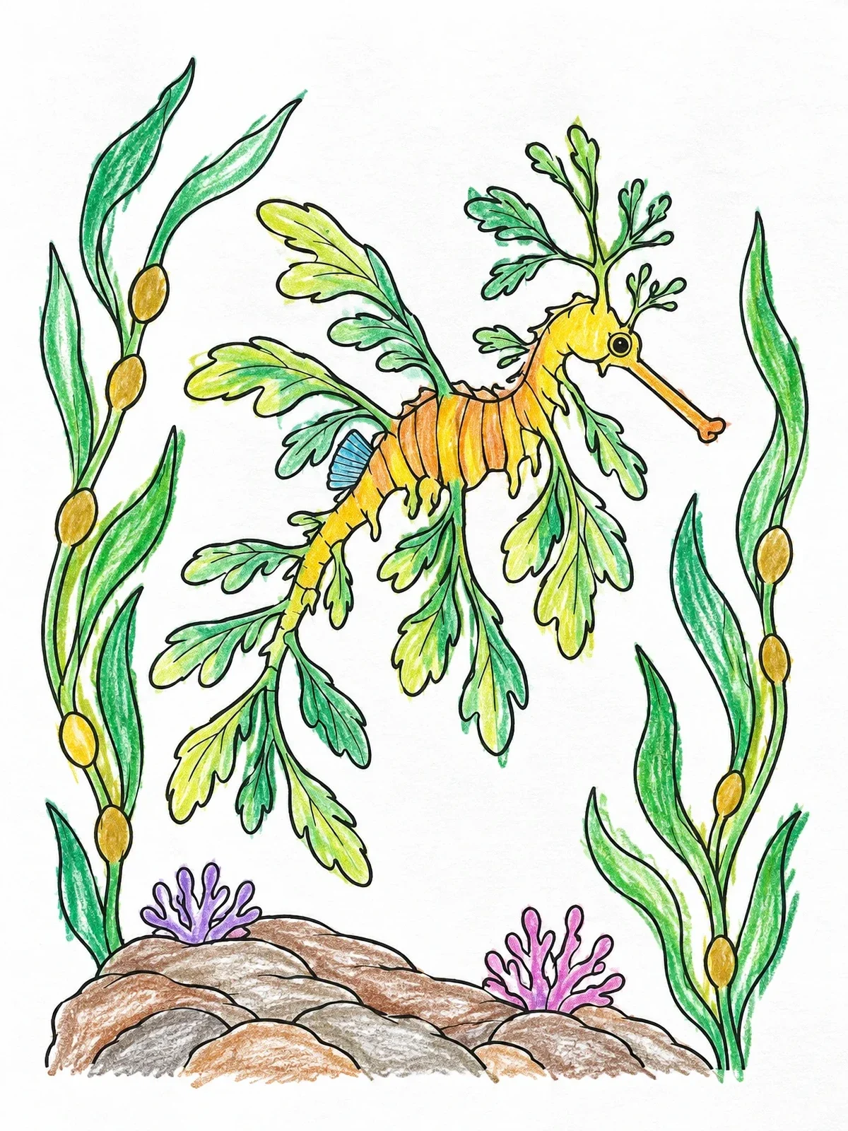 Colored example of the Leafy Seadragon Floating In Kelp coloring page