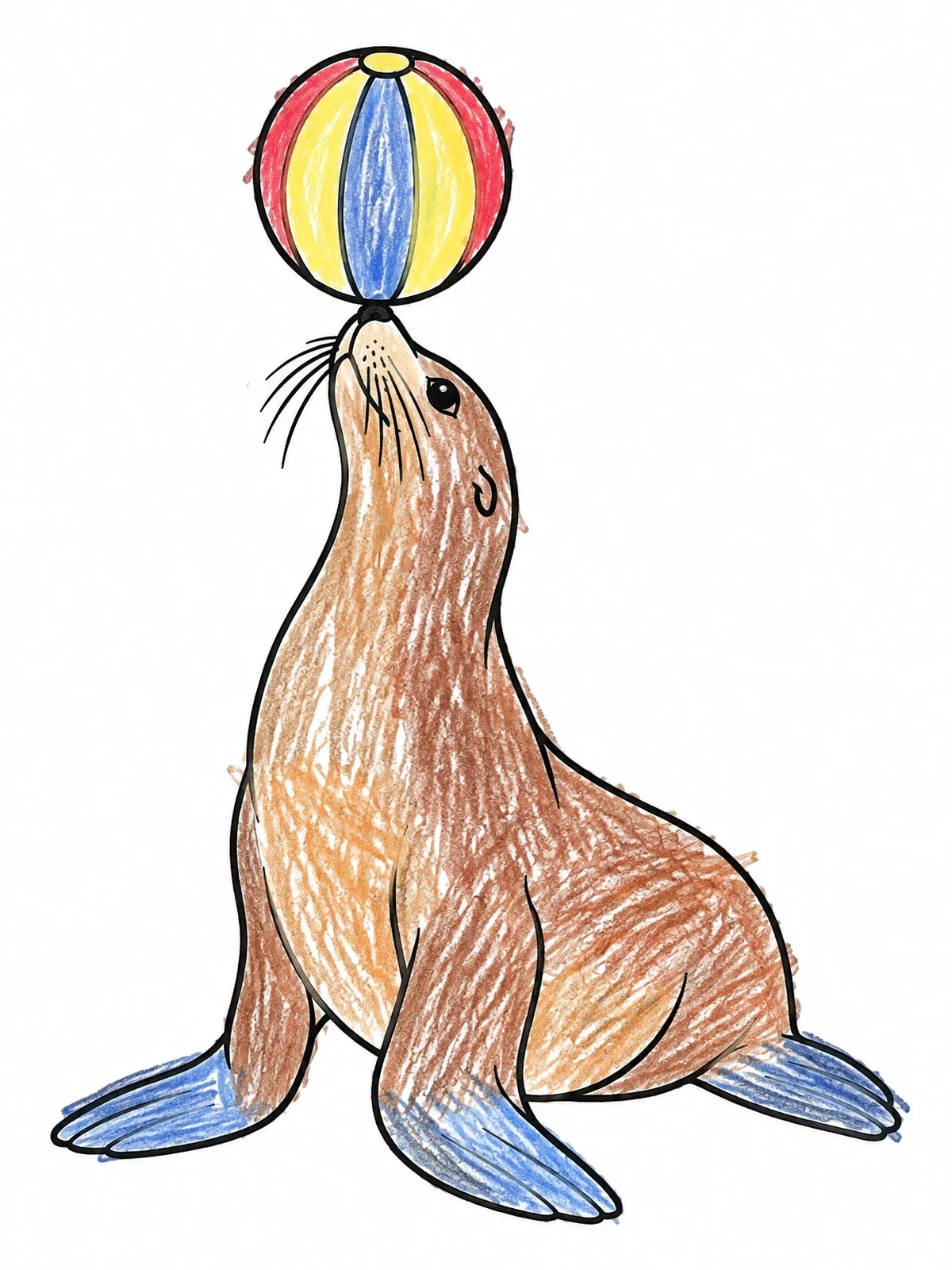 Colored example of the Sea Lion Balancing A Ball coloring page