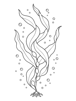 A graceful seaweed coloring page showing twisting kelp ribbons underwater with rising bubbles.