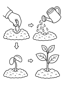 Free printable Seed Growth Sequence Diagram coloring page