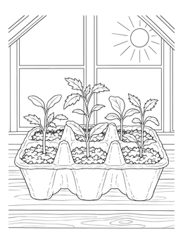 Little sprouts growing in an egg carton tray near a sunny window seeds coloring page.