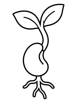 Free printable Sprouting Bean Seed With Leaves coloring page