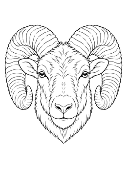 A detailed sheep coloring page showing the majestic head of a bighorn ram with curved horns.