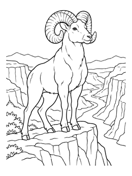 A proud bighorn ram stands on a high cliff in this sheep coloring page.