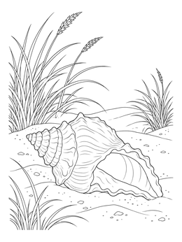 A detailed shells coloring page showing a large conch shell resting on sand dunes by tall grass.