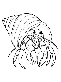 A curious hermit crab peeking out from a spiral seashell on this shells coloring page.
