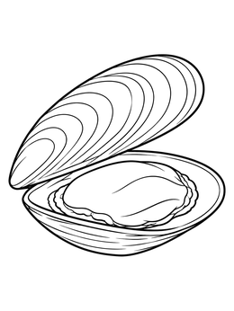 An open bivalve shell on this detailed shells coloring page.