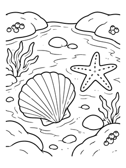 A detailed shells coloring page showing a scallop shell and starfish in a shallow pool.