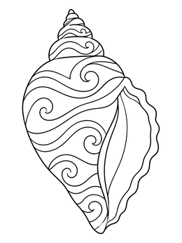 Detailed conch shells coloring page featuring swirling ocean wave patterns.