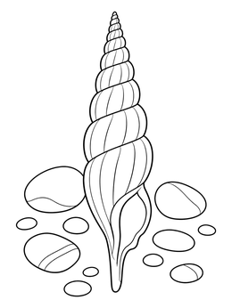 A slender spiral auger shell resting near smooth beach stones in this shells coloring page.