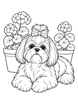 Free printable Shih Tzu Resting By Potted Geraniums coloring page