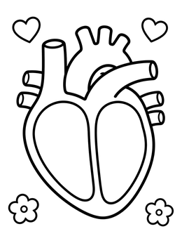 A simple human heart coloring page with bold lines, small heart shapes, and cute flowers.