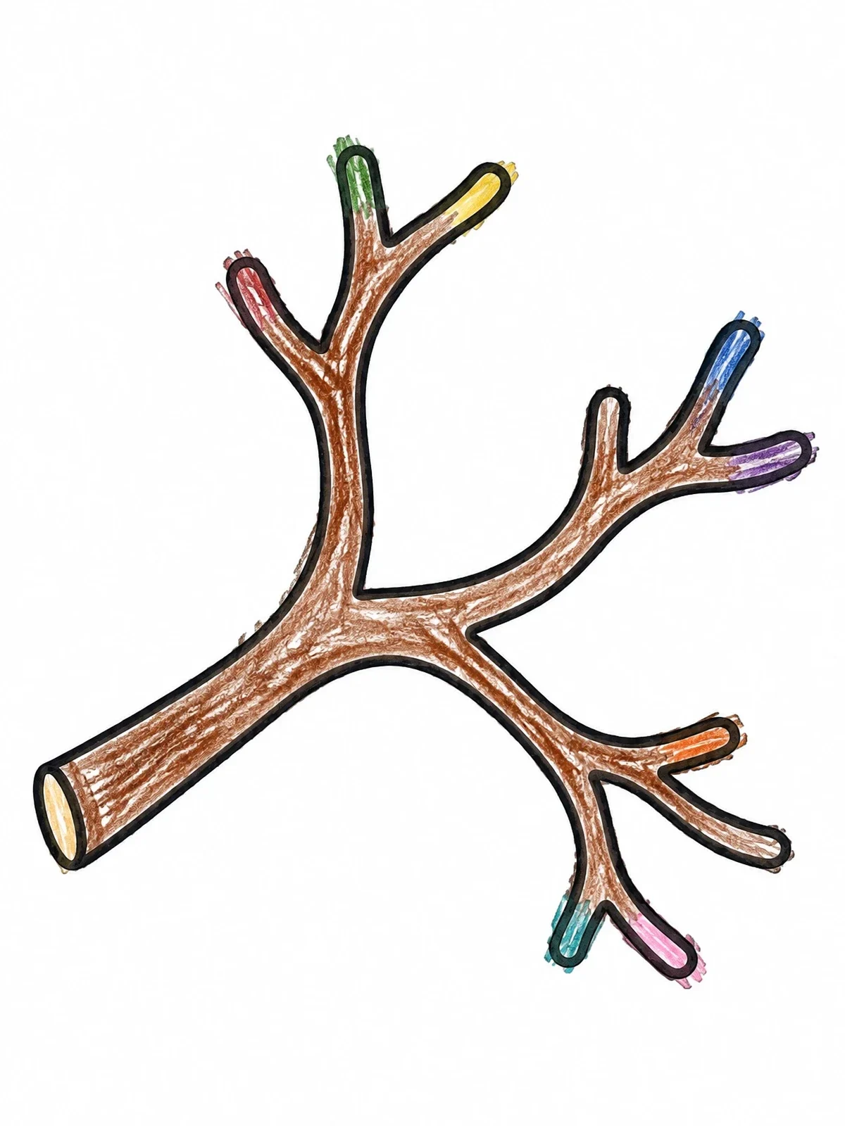 Colored example of the Simple Bare Tree Branch coloring page