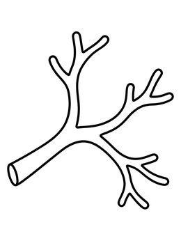 Free printable Simple Bare Tree Branch coloring page