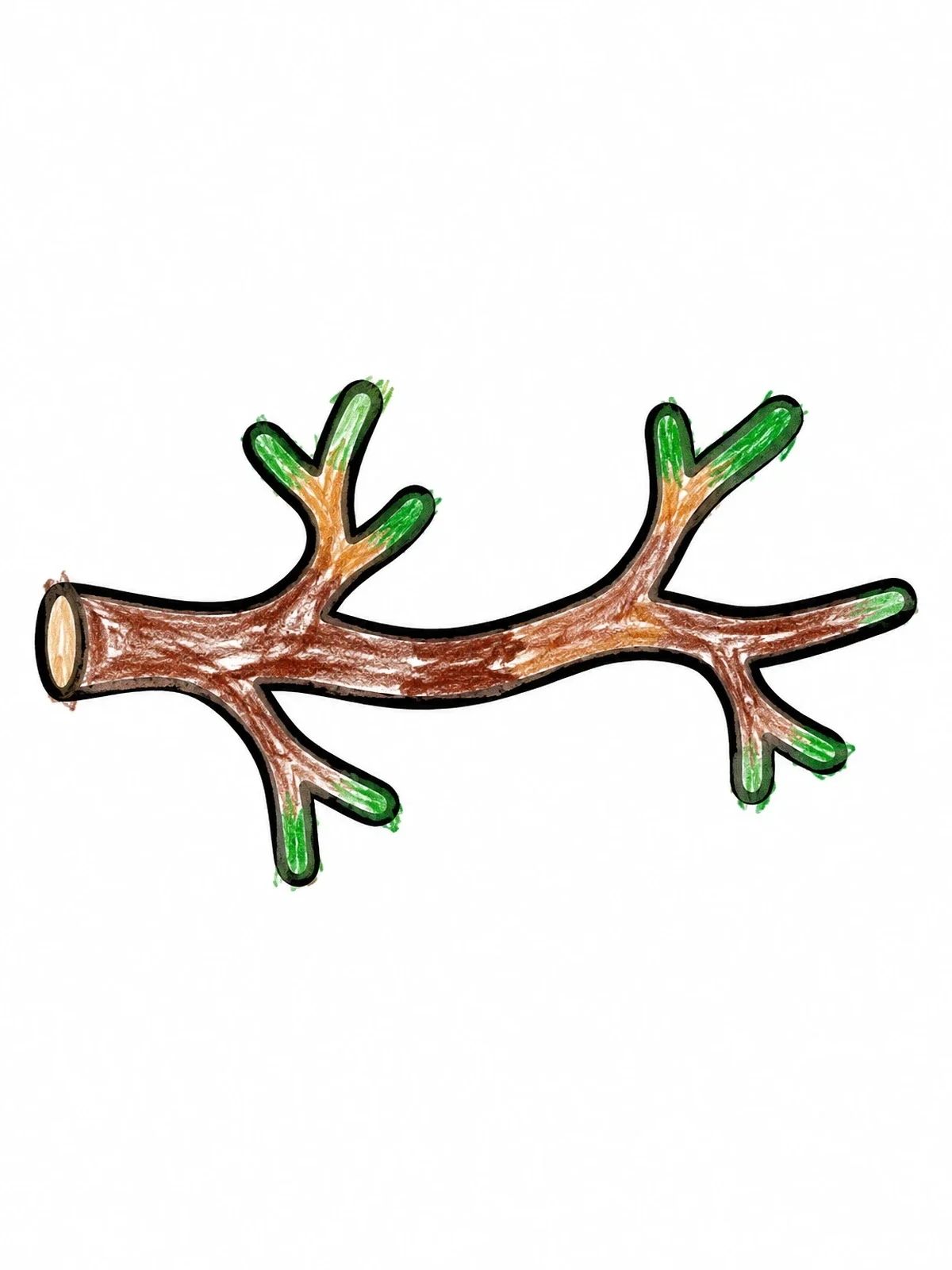 Colored example of the Simple Bare Tree Branch coloring page