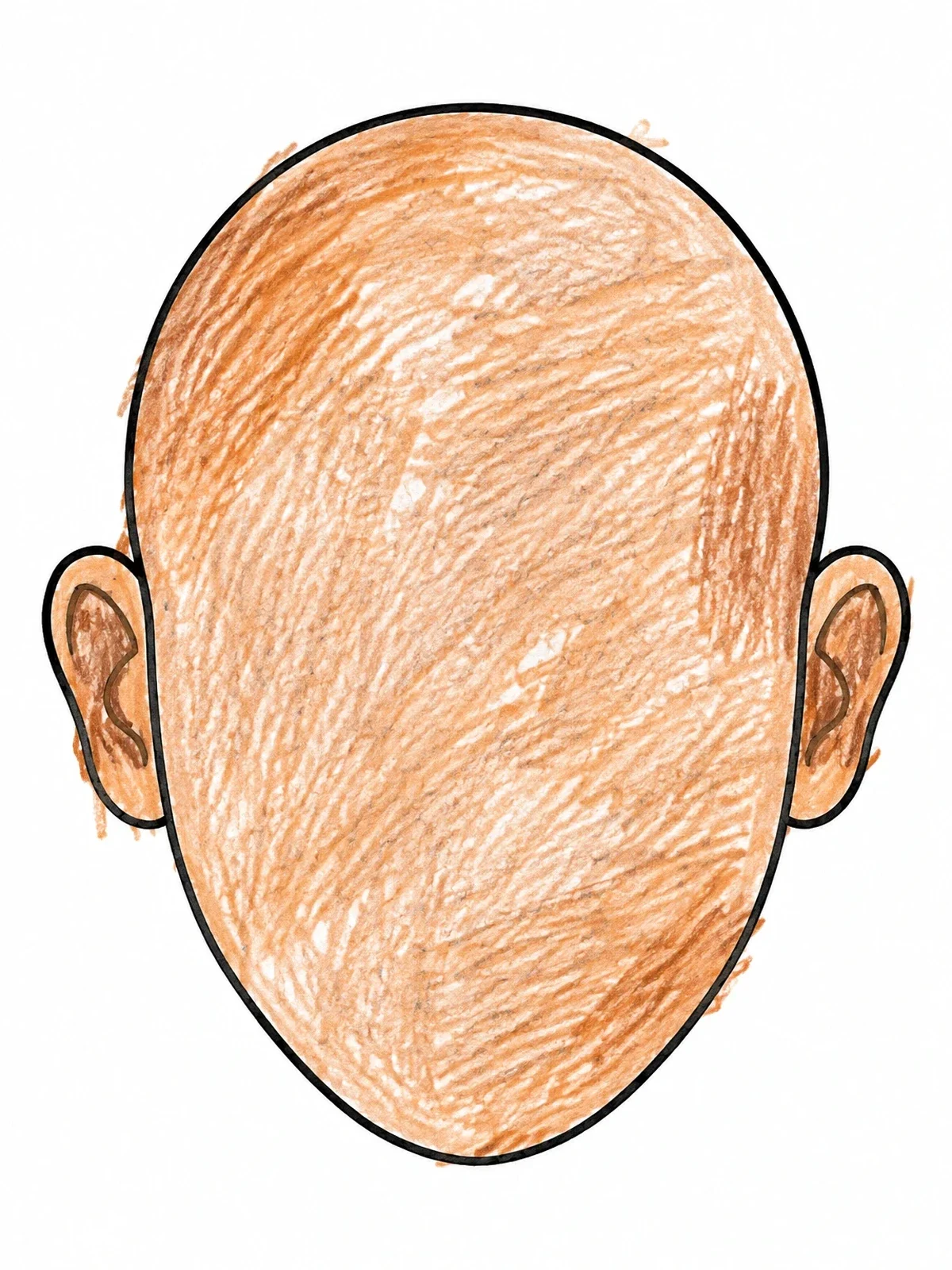 Colored example of the Simple Blank Head And Ears Outline coloring page