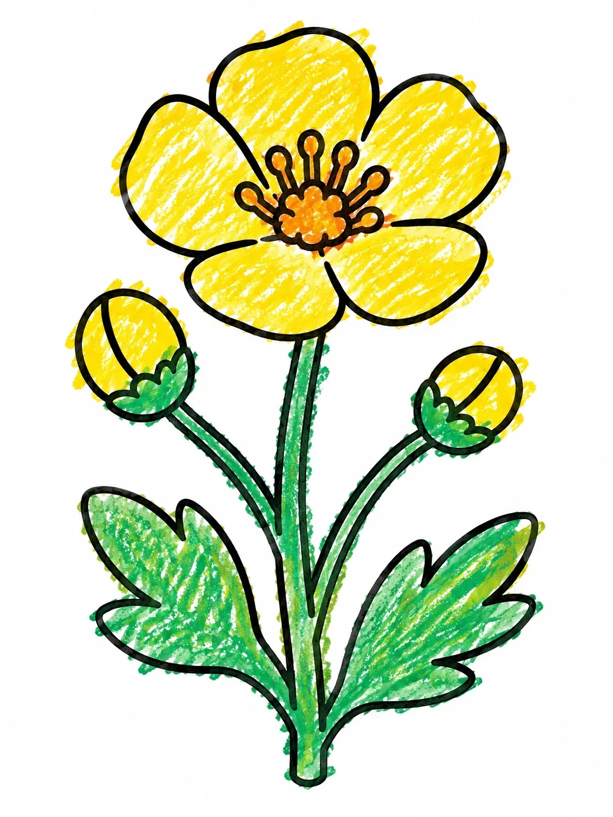 Colored example of the Simple Blooming Buttercup Flower coloring page