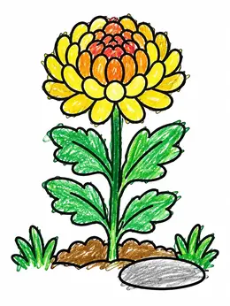 Simple Blooming Chrysanthemum Flower Coloring Page