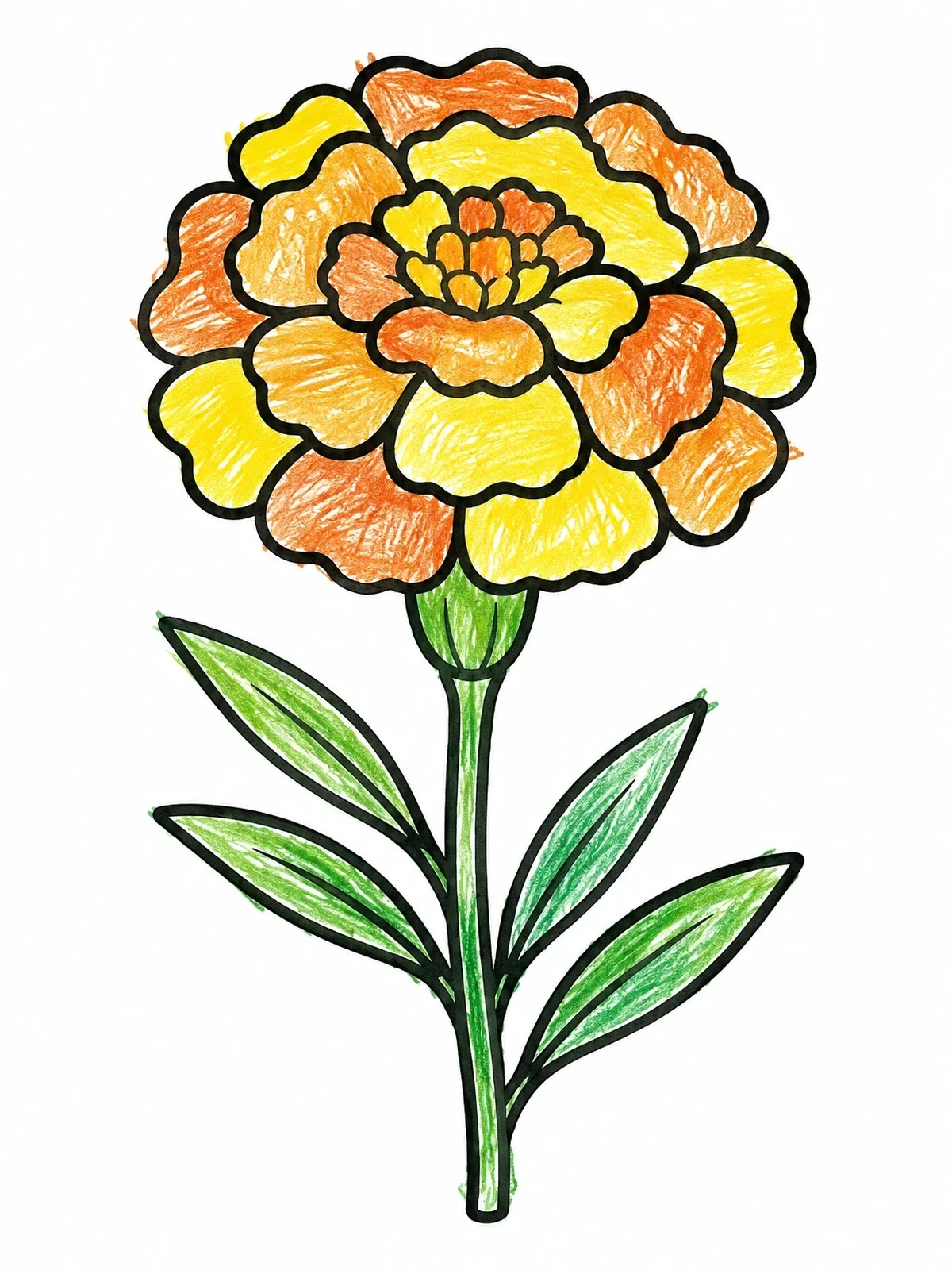 Colored example of the Simple Blooming Marigold Flower coloring page