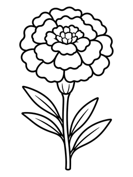 Free printable Simple Blooming Marigold Flower coloring page