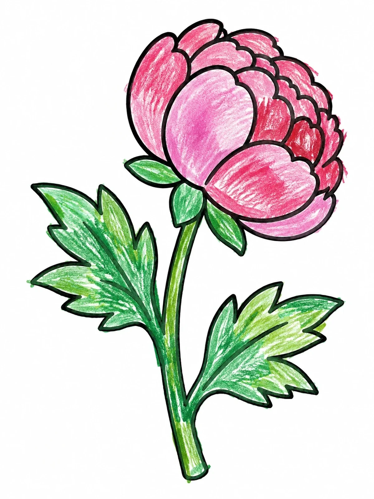 Colored example of the Simple Blooming Peony Flower coloring page