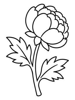 Free printable Simple Blooming Peony Flower coloring page