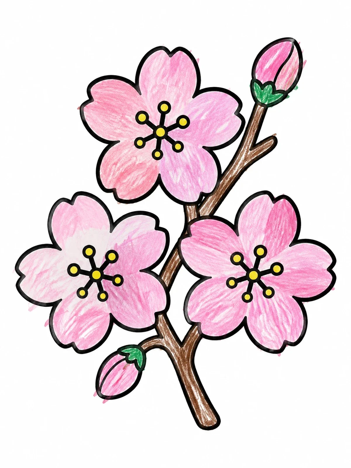 Colored example of the Simple Blooming Sakura Branch coloring page