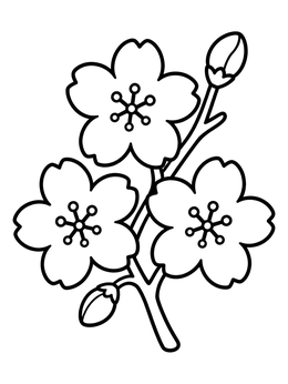 Free printable Simple Blooming Sakura Branch coloring page