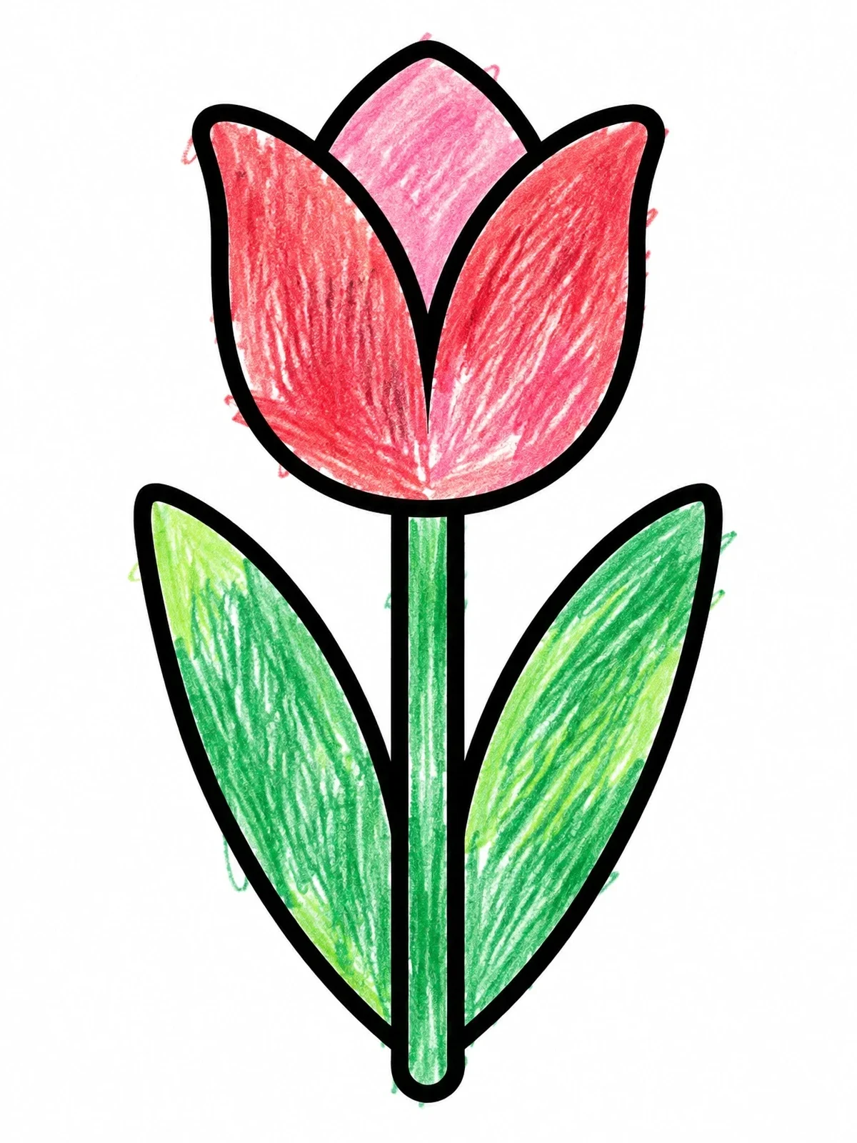 Colored example of the Simple Blooming Tulip Outline coloring page